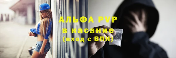 ГАЛЛЮЦИНОГЕННЫЕ ГРИБЫ Богданович