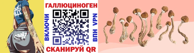 Псилоцибиновые грибы Magic Shrooms  Дальнегорск 